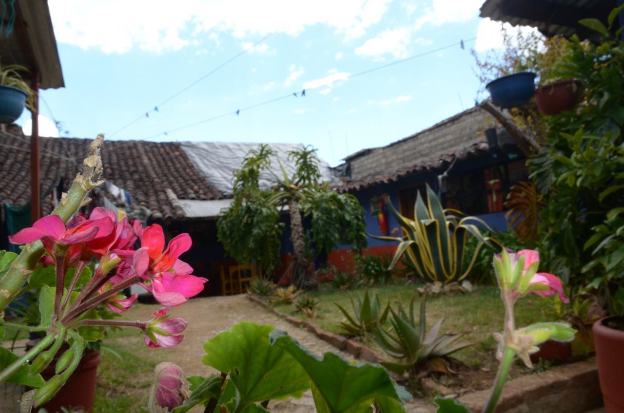 El Rincon De Los Camellos